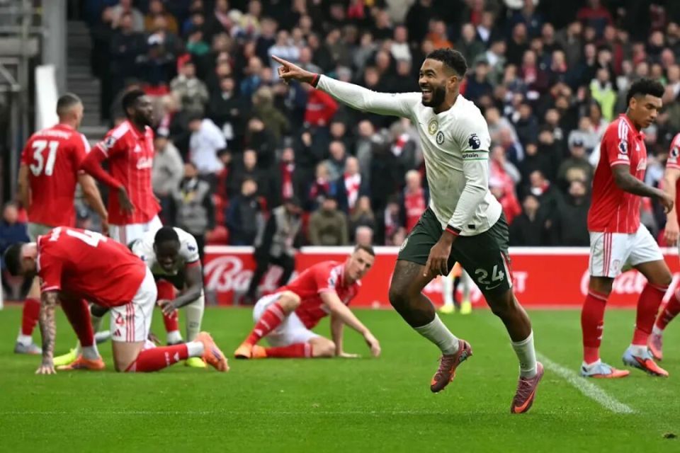 森林, 推同样晒出, inews